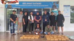 BNNP Sumbar Sita 29,8 Kg Ganja Jaringan Sumut-Sumbar, Pelaku Nekat Tabrak Mobil Petugas