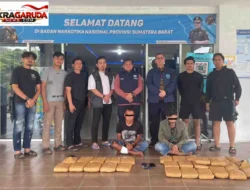 BNNP Sumbar Sita 29,8 Kg Ganja Jaringan Sumut-Sumbar, Pelaku Nekat Tabrak Mobil Petugas
