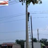 Jaga Ketertiban Infrastruktur Jaringan, PLN Icon Plus Lakukan Pemeliharaan Jaringan Fiber Optik di Jalur Lintas Timur Jambi–Riau