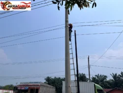 Jaga Ketertiban Infrastruktur Jaringan, PLN Icon Plus Lakukan Pemeliharaan Jaringan Fiber Optik di Jalur Lintas Timur Jambi–Riau