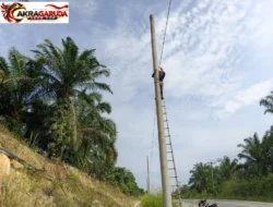 Dukung Layanan Telekomunikasi Andal, PLN Icon Plus Lakukan Pemeliharaan Jaringan Fiber Optik di Wilayah Seminai
